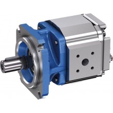 Internal gear pump PGP