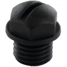 Plug screw