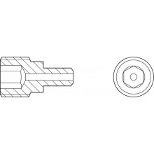 Hollow screw