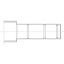Form 31