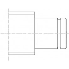 Form 41