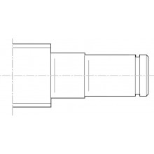 Form L1