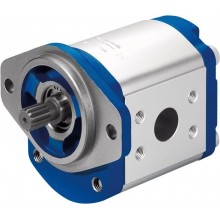 External gear pump High Performance AZPG